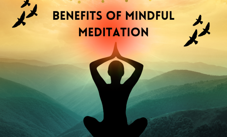 Mindful Meditation